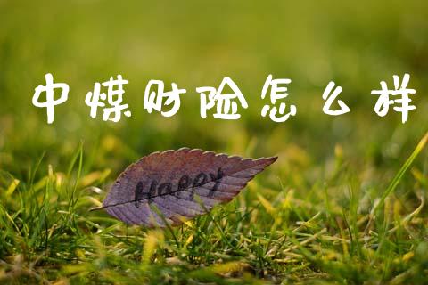 中煤财险怎么样_https://m.ycdhulan.com_期货交易_第1张