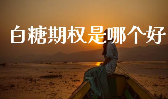 白糖期权是哪个好_https://m.ycdhulan.com_理财产品_第1张