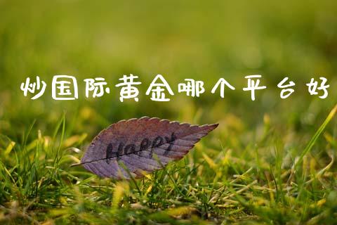 炒国际黄金哪个平台好_https://m.ycdhulan.com_国际金融_第1张