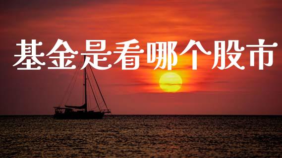 基金是看哪个股市_https://m.ycdhulan.com_证券新闻_第1张