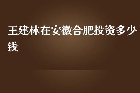 王建林在安徽合肥投资多少钱_https://m.ycdhulan.com_期货交易_第1张