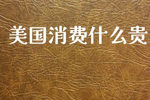 美国消费什么贵_https://m.ycdhulan.com_证券新闻_第1张