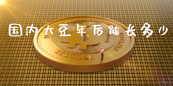 国内大豆年后能长多少_https://m.ycdhulan.com_理财产品_第1张