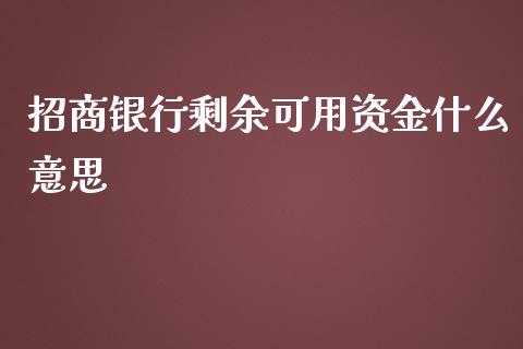 招商银行剩余可用资金什么意思_https://m.ycdhulan.com_理财产品_第1张