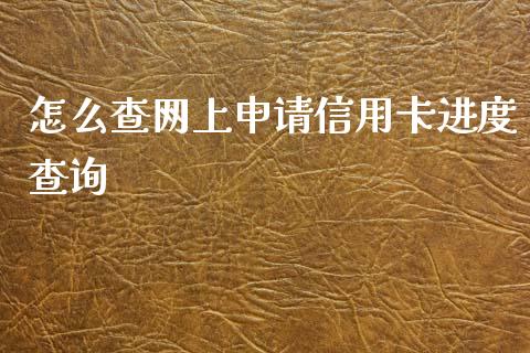 怎么查网上申请信用卡进度查询_https://m.ycdhulan.com_理财产品_第1张