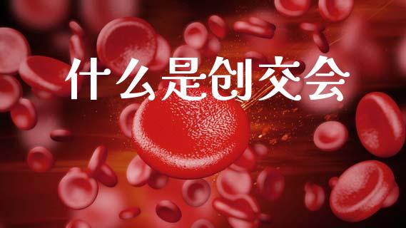 什么是创交会_https://m.ycdhulan.com_财经要闻_第1张