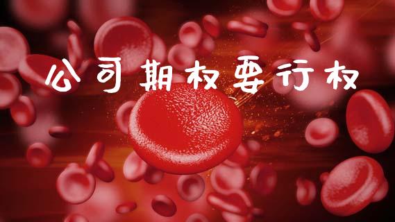 公司期权要行权_https://m.ycdhulan.com_股市在线_第1张