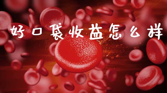 好口袋收益怎么样_https://m.ycdhulan.com_财经要闻_第1张