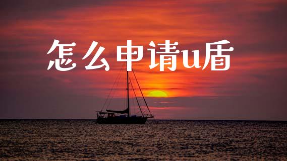 怎么申请u盾_https://m.ycdhulan.com_证券新闻_第1张