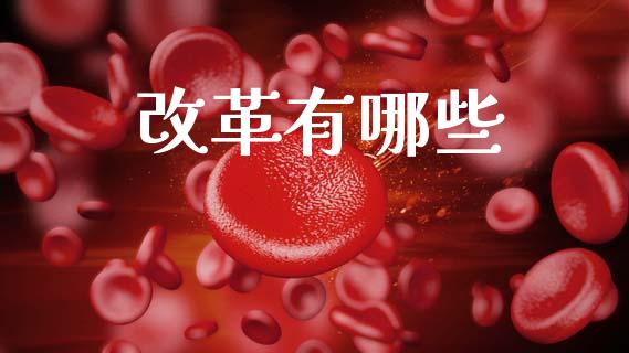 改革有哪些_https://m.ycdhulan.com_财经要闻_第1张