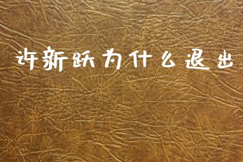 许新跃为什么退出_https://m.ycdhulan.com_财经要闻_第1张