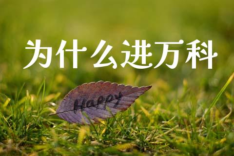 为什么进万科_https://m.ycdhulan.com_国际金融_第1张
