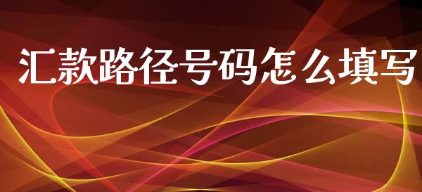 汇款路径号码怎么填写_https://m.ycdhulan.com_国际金融_第1张