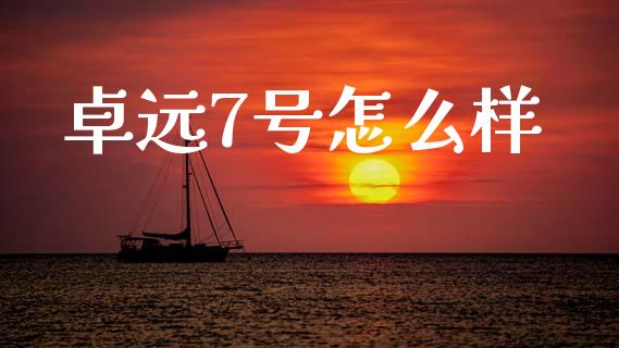 卓远7号怎么样_https://m.ycdhulan.com_财经要闻_第1张