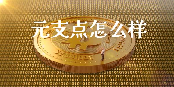 元支点怎么样_https://m.ycdhulan.com_证券新闻_第1张