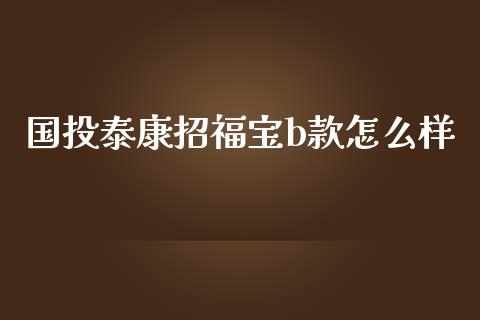 国投泰康招福宝b款怎么样_https://m.ycdhulan.com_财经要闻_第1张