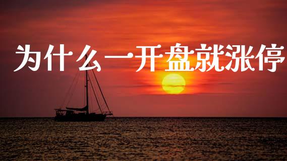 为什么一开盘就涨停_https://m.ycdhulan.com_期货交易_第1张