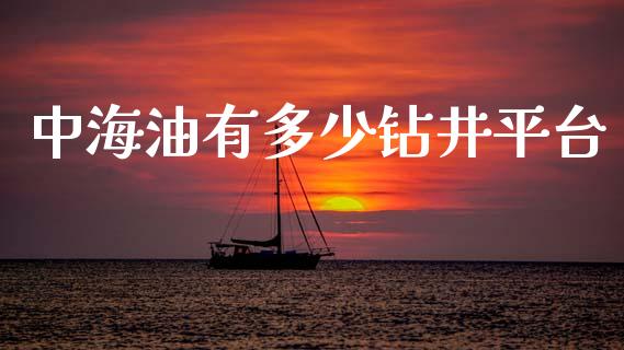 中海油有多少钻井平台_https://m.ycdhulan.com_财经要闻_第1张