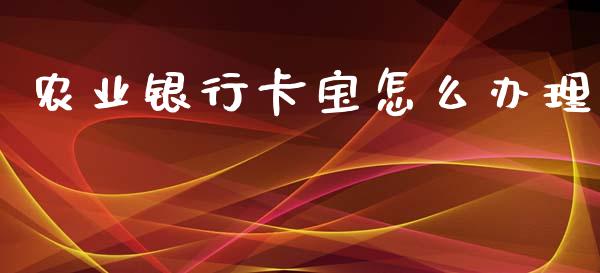 农业银行卡宝怎么办理_https://m.ycdhulan.com_国际金融_第1张