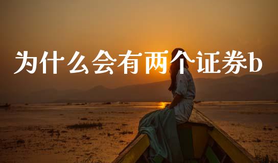 为什么会有两个证券b_https://m.ycdhulan.com_股市在线_第1张