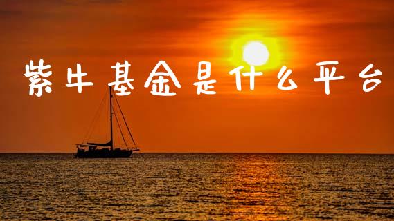 紫牛基金是什么平台_https://m.ycdhulan.com_财经要闻_第1张
