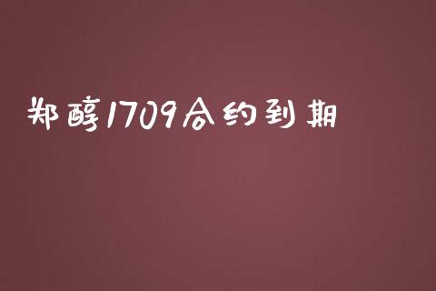 郑醇1709合约到期_https://m.ycdhulan.com_财经要闻_第1张