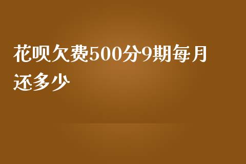 花呗欠费500分9期每月还多少_https://m.ycdhulan.com_财经要闻_第1张