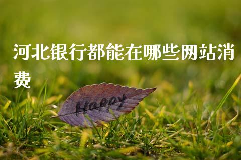 河北银行都能在哪些网站消费_https://m.ycdhulan.com_理财产品_第1张