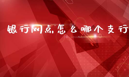 银行网点怎么哪个支行_https://m.ycdhulan.com_财经要闻_第1张