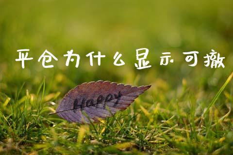 平仓为什么显示可撤_https://m.ycdhulan.com_国际金融_第1张