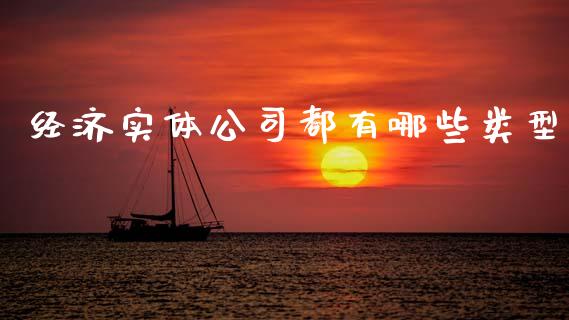 经济实体公司都有哪些类型_https://m.ycdhulan.com_期货交易_第1张