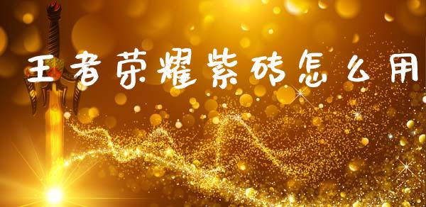 王者荣耀紫砖怎么用_https://m.ycdhulan.com_理财产品_第1张
