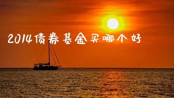 2014债券基金买哪个好_https://m.ycdhulan.com_财经要闻_第1张