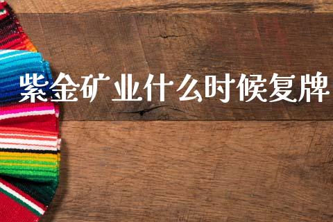 紫金矿业什么时候复牌_https://m.ycdhulan.com_证券新闻_第1张
