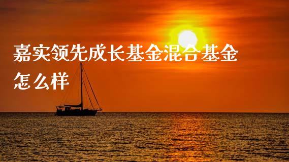 嘉实领先成长基金混合基金怎么样_https://m.ycdhulan.com_期货交易_第1张