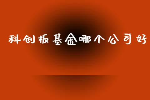 科创板基金哪个公司好_https://m.ycdhulan.com_股市在线_第1张