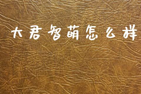 大君智萌怎么样_https://m.ycdhulan.com_财经要闻_第1张