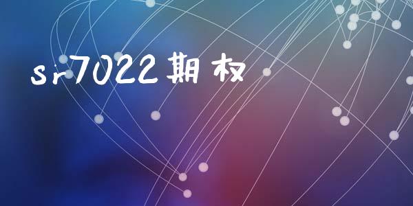 sr7022期权_https://m.ycdhulan.com_国际金融_第1张