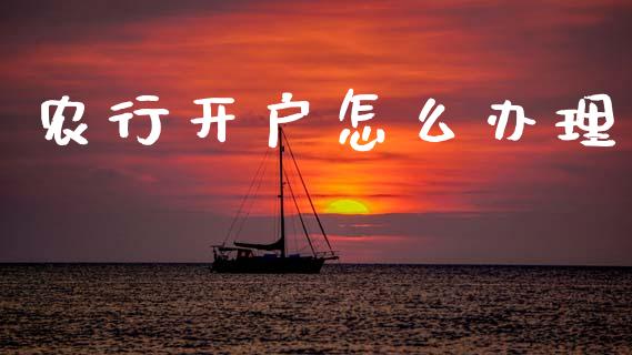 农行开户怎么办理_https://m.ycdhulan.com_股市在线_第1张