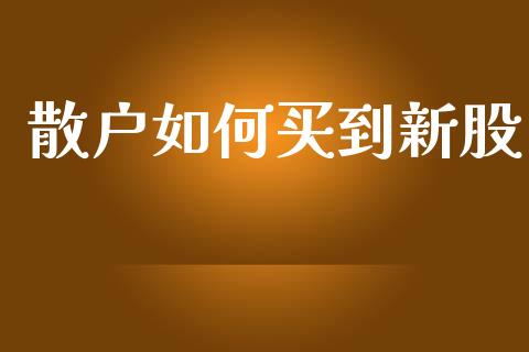 散户如何买到新股_https://m.ycdhulan.com_国际金融_第1张