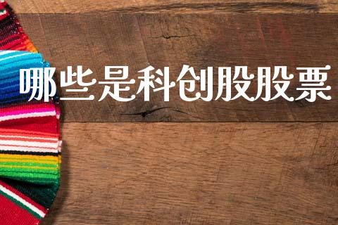 哪些是科创股股票_https://m.ycdhulan.com_期货交易_第1张