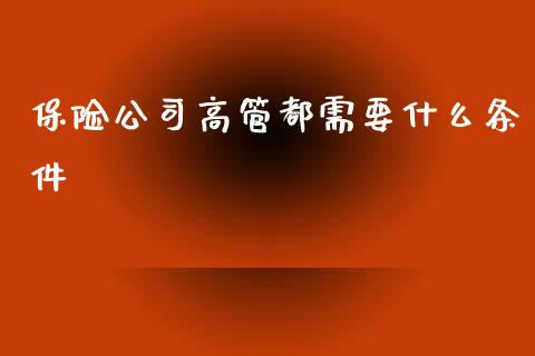 保险公司高管都需要什么条件_https://m.ycdhulan.com_期货交易_第1张