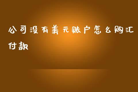 公司没有美元账户怎么购汇付款_https://m.ycdhulan.com_理财产品_第1张