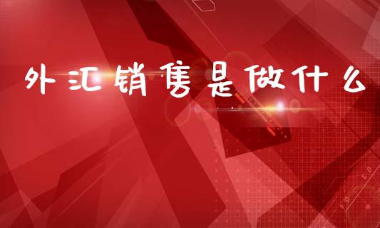 外汇销售是做什么_https://m.ycdhulan.com_国际金融_第1张