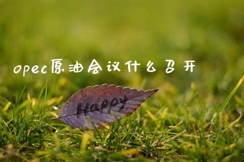 opec原油会议什么召开_https://m.ycdhulan.com_证券新闻_第1张