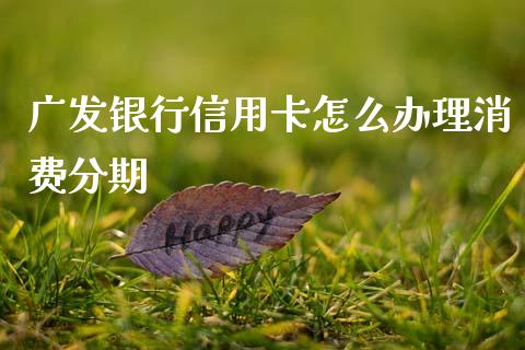 广发银行信用卡怎么办理消费分期_https://m.ycdhulan.com_证券新闻_第1张