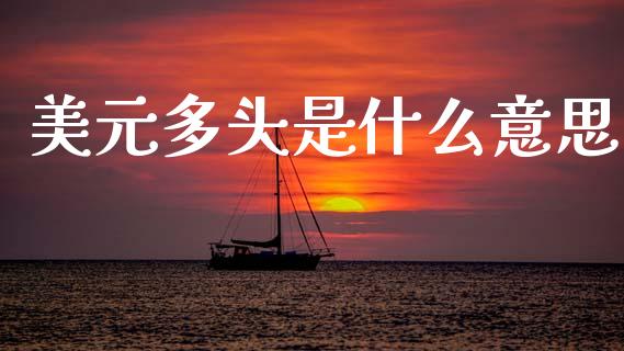 美元多头是什么意思_https://m.ycdhulan.com_理财产品_第1张