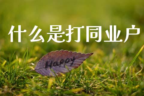 什么是打同业户_https://m.ycdhulan.com_国际金融_第1张