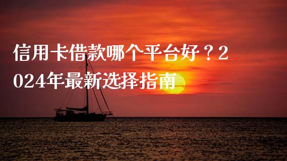 信用卡借款哪个平台好？2024年最新选择指南_https://m.ycdhulan.com_期货交易_第1张