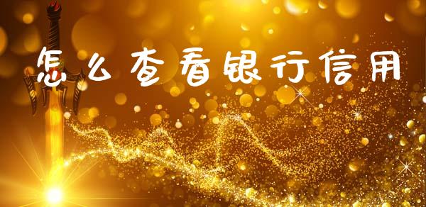 怎么查看银行信用_https://m.ycdhulan.com_国际金融_第1张